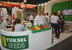 Tomato seed trader Yuksel Seeds from Turkey. On the picture is Francisco Garcia Trujillo, Sales Manager for the company.